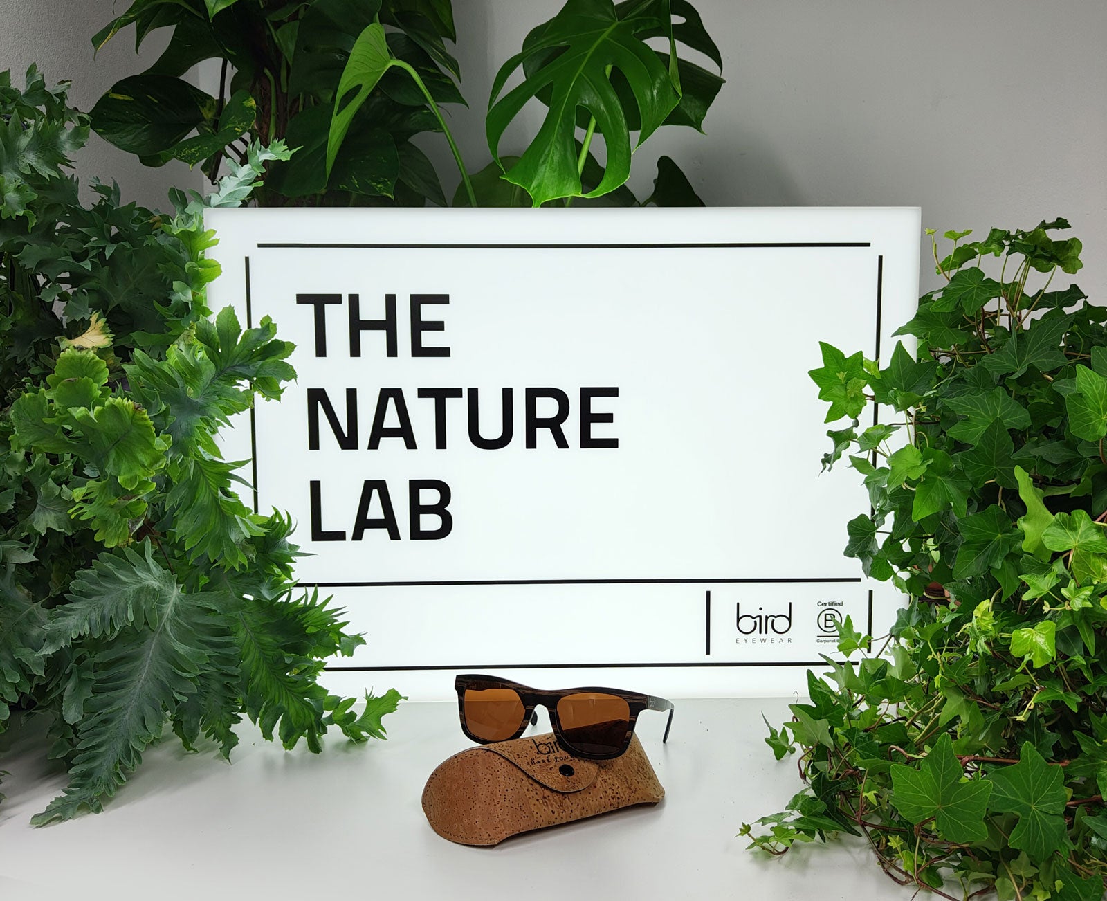 A Peek Inside Bird Eyewear's Nature Lab